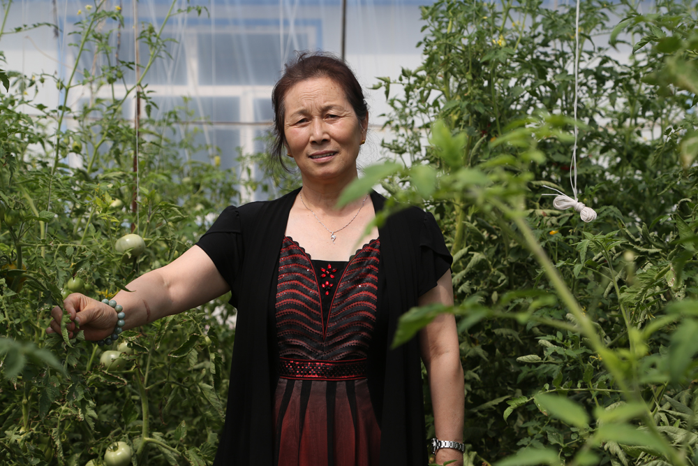 万利·(中国区)有限公司官网